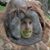 Reed Neider's profile image