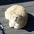 Julie Potrafke Tuck's profile image