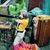 Justin Doll's profile image