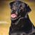 Scott Bruewer's profile image