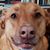 Bruce Mazurkiewicz's profile image