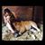 Billie Joan Reeves's profile image