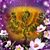Bonnie Sparks's profile image