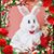 Kim Steele's profile image