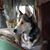 Lori Lang's profile image