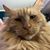 Byron Eric Garner-Vrabel's profile image