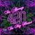Darrell Russell's profile image