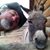 Bob Palmer's profile image