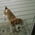 Rhonda Buehner Huntington's profile image