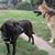 Becky Leib Fengfish's profile image