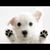 Jenni Brown's profile image