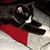 Tina Potvin's profile image
