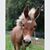 Peggy Sanner's profile image