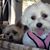 Teresa Estle Hafenbrack's profile image