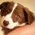 Pam Madden's profile image