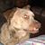 Jose Anthony Mena's profile image