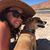 Adelaine Fagan's profile image