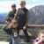 Linda Gilleland's profile image