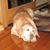 Ella Gainer's profile image