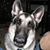 Debbie Howe's profile image