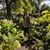 Eileen Hansen's profile image