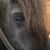 Caren Polillio's profile image