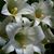 Jody Waters Hall's profile image