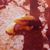 Erin McLaughlin's profile image