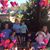 Brenda Woodall Harrison's profile image