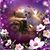 Jill K Gawronski's profile image
