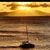 Deb Ewings Blom's profile image