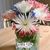 Angie Hitt's profile image