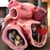 Cheryl Babbitt's profile image