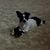Mary Boyer's profile image