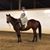 Jocelyn Mackie's profile image