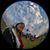 Taci Thompson's profile image