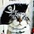 Robyn L. Salaver's profile image