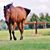 Catherine Mullen's profile image