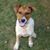 Linzey Joy's profile image