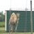 Rebecca Marie Tagtgren's profile image