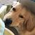 Janet Jonas's profile image