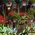 Diane Stuhr's profile image