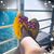 Kim Griggs Shipley's profile image