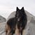 Joan Stiener's profile image