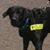 Lloyd Carter's profile image