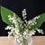 Rhonda Millett's profile image