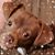 Stacie Clements Mulhern's profile image