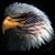 Ken Moore's profile image