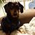 Donna Tobey's profile image