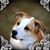 Doni Meyer's profile image